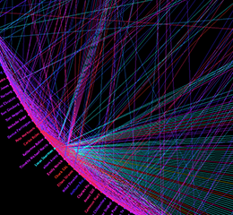 Facebook Network Graph - Wheel