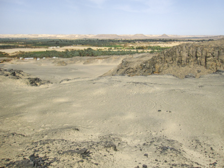 Bahariya Oasis