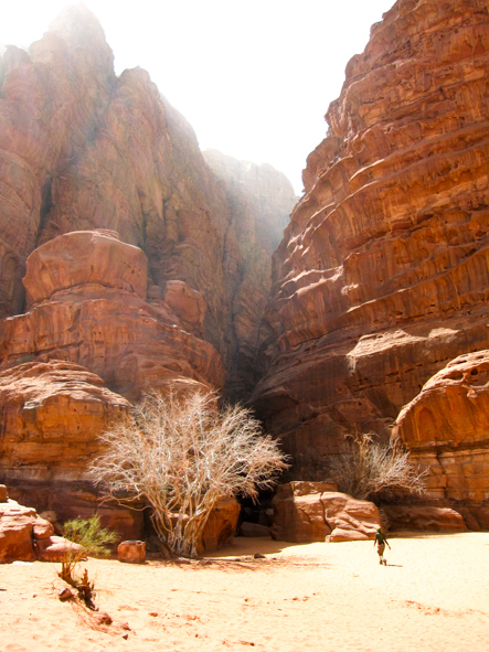 Canyons, Wadi Rum Desert, Jordan