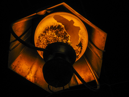 Street Light in Damascus, Syria